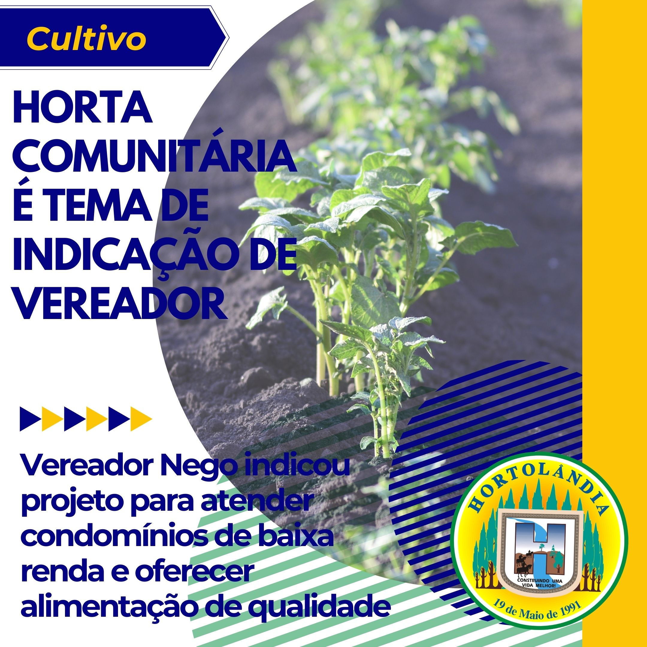 20210810 horta comunitária