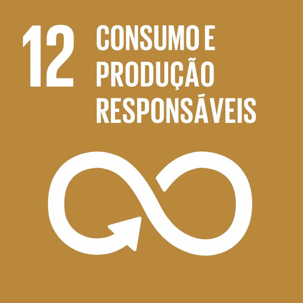 ODS 12