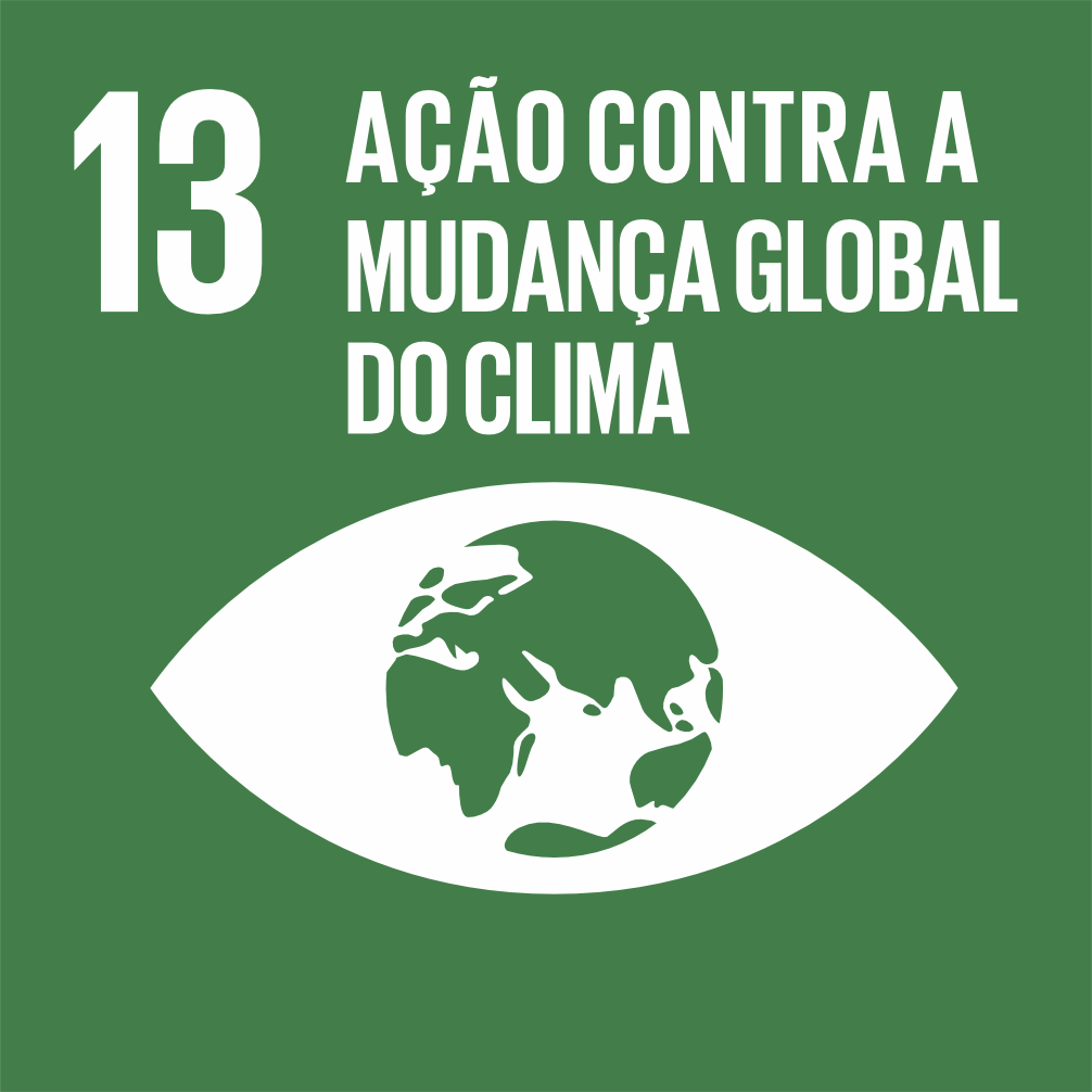 ODS 13