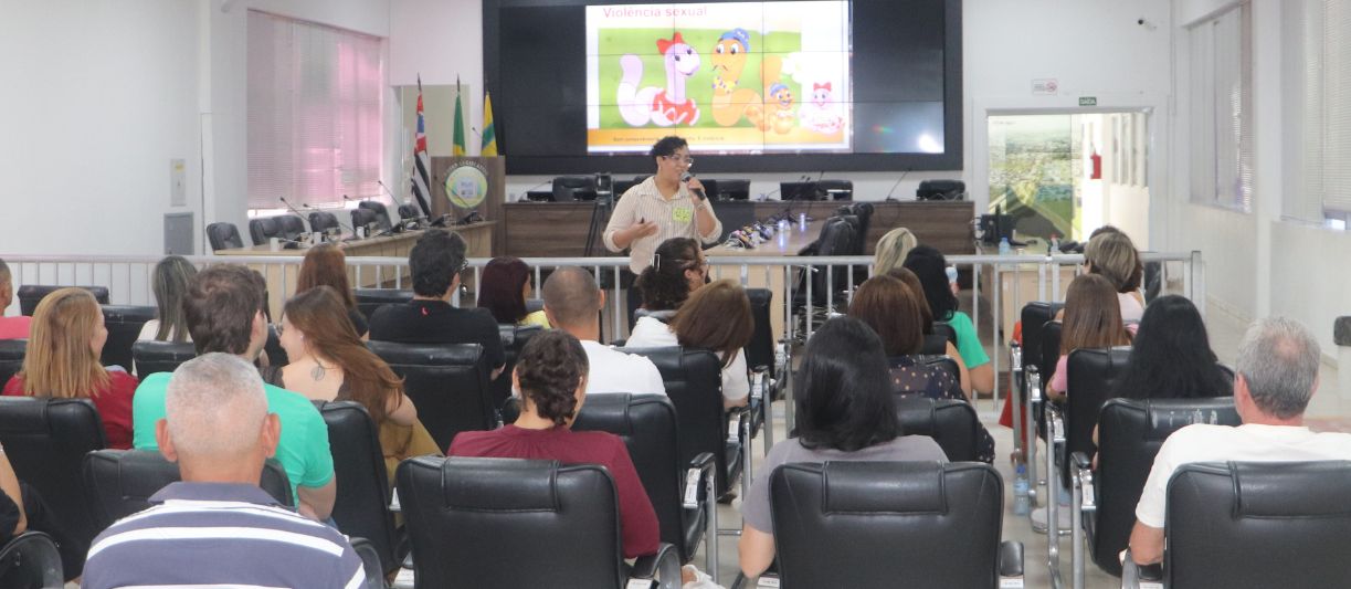 VIOLÊNCIA CONTRA MULHERES